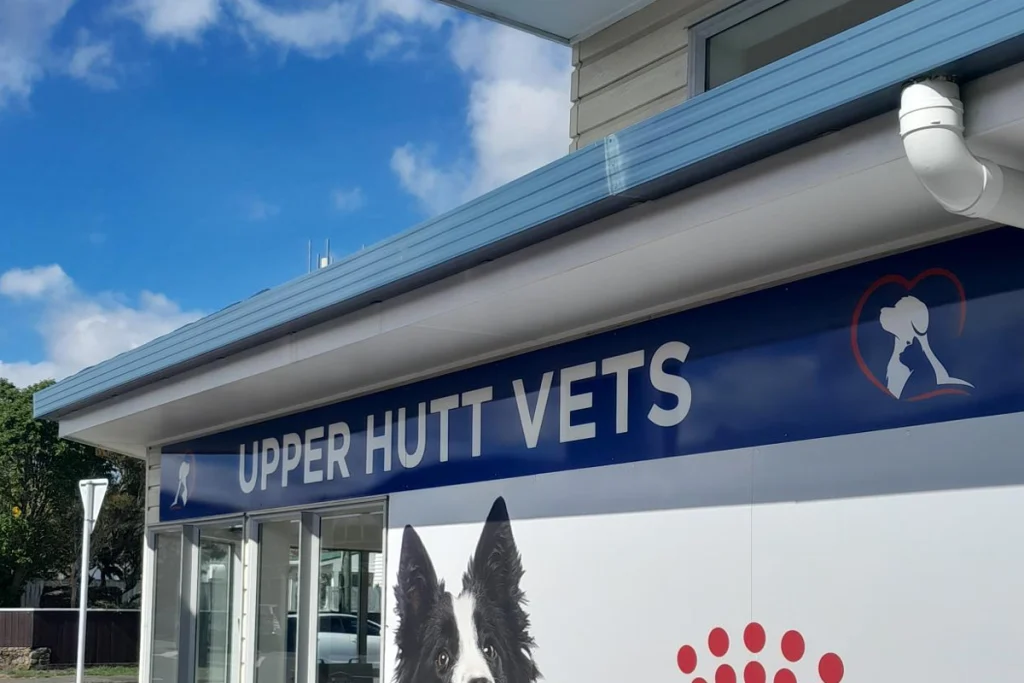 Upper Hutt Vets