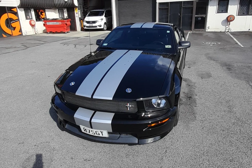 Mustang Vehicle Stripes